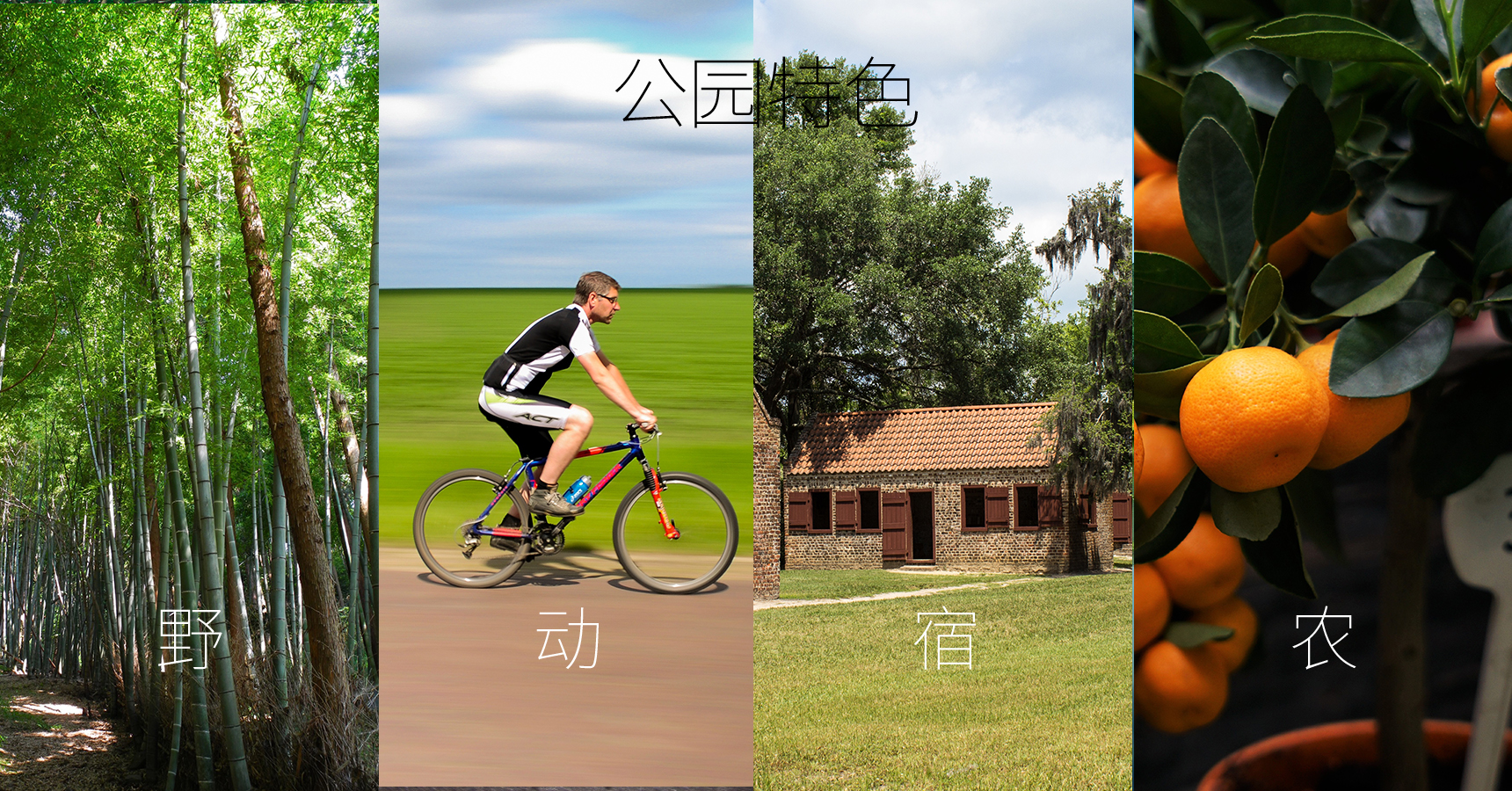 长兴岛郊野公园_画板 1 副本 23.jpg